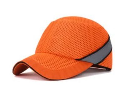 bump04-300x220